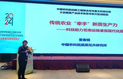 科技賦能，降本增效 中國農科院助力設施番茄產業變革