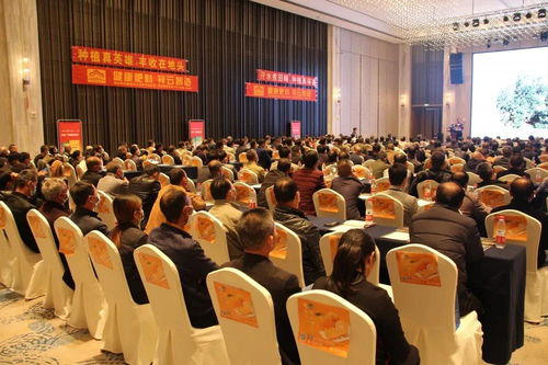 祥云杯臍橙英雄 軟件設(shè)計賦能種植真英雄，技術(shù)培訓(xùn)提升品牌影響力