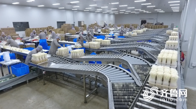 2019年山東農(nóng)業(yè)科技服務(wù)（扶貧）月啟動儀式在鄒城舉行，開啟技術(shù)推廣新篇章